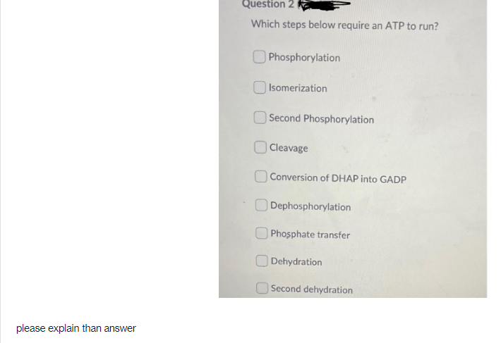 Question 2
Which steps below require an ATP to run?
Phosphorylation
| Isomerization
O Second Phosphorylation
|Cleavage
Conversion of DHAP into GADP
O Dephosphorylation
O Phosphate transfer
Dehydration
| Second dehydration
please explain than answer
