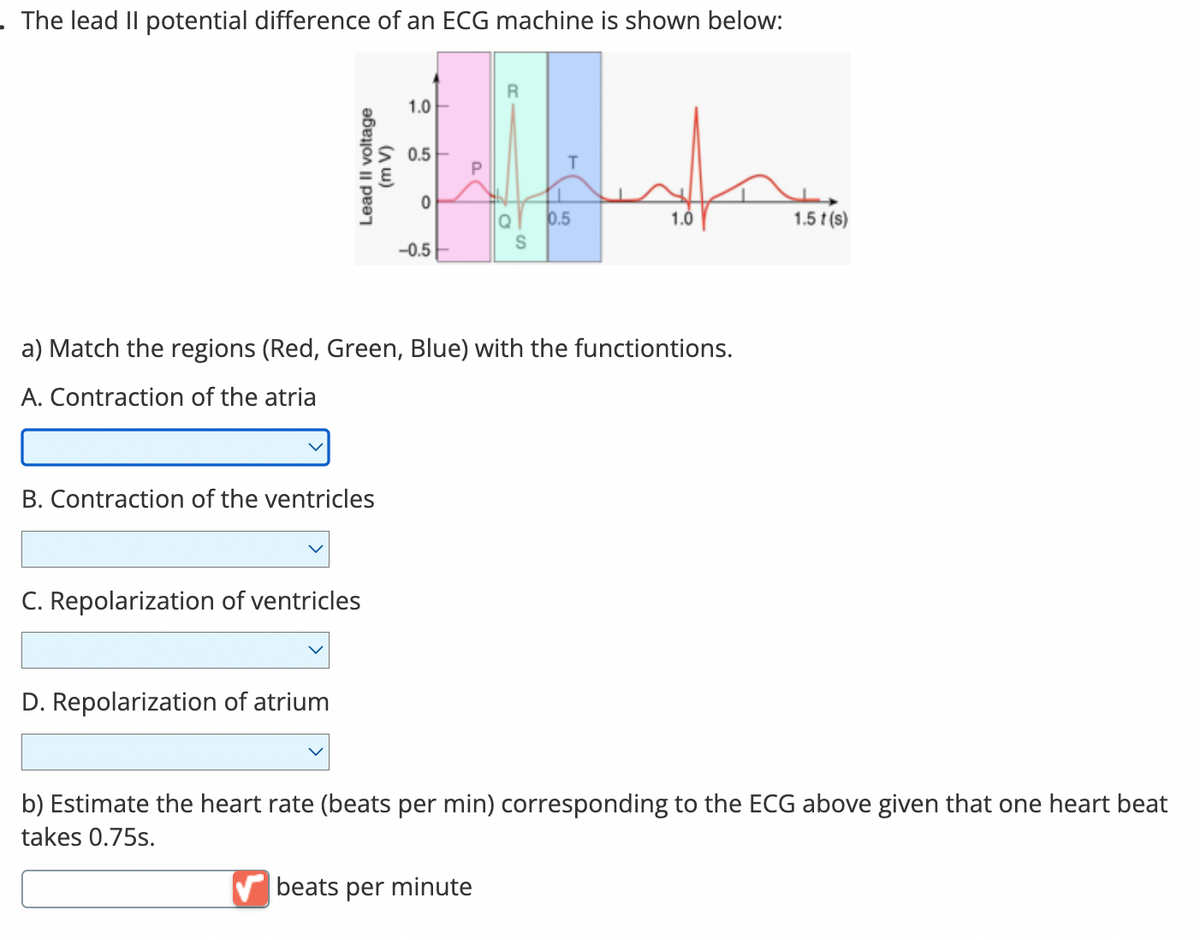 . The lead II potential difference of an ECG machine is shown below:
Lead Il voltage
(m V)
B. Contraction of the ventricles
C. Repolarization of ventricles
D. Repolarization of atrium
1.0
0.5
0
-0.5
Q
a) Match the regions (Red, Green, Blue) with the functiontions.
A. Contraction of the atria
S
beats per minute
0.5
1.0
1.5 t (s)
b) Estimate the heart rate (beats per min) corresponding to the ECG above given that one heart beat
takes 0.75s.