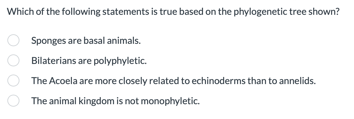 Which of the following statements is true based on the phylogenetic tree shown?
Sponges are basal animals.
Bilaterians are polyphyletic.
The Acoela are more closely related to echinoderms than to annelids.
The animal kingdom is not monophyletic.