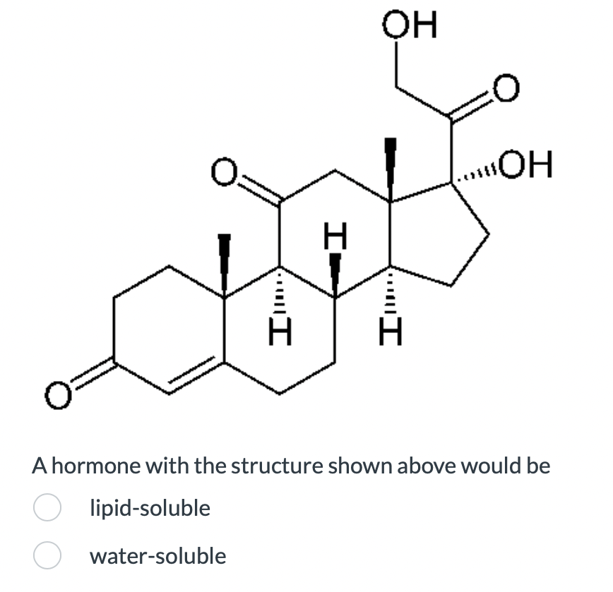 O=
I
Н
HY
"
H
OH
...OH
A hormone with the structure shown above would be
lipid-soluble
water-soluble