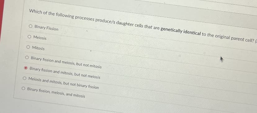 Which of the following processes produce/s daughter cells that are genetically identical to the original parent cell? (-
O Binary Fission
O Meiosis
O Mitosis
O Binary fission and meiosis, but not mitosis
O Binary fission and mitosis, but not meiosis
O Meiosis and mitosis, but not binary fission
O Binary fission, meiosis, and mitosis
