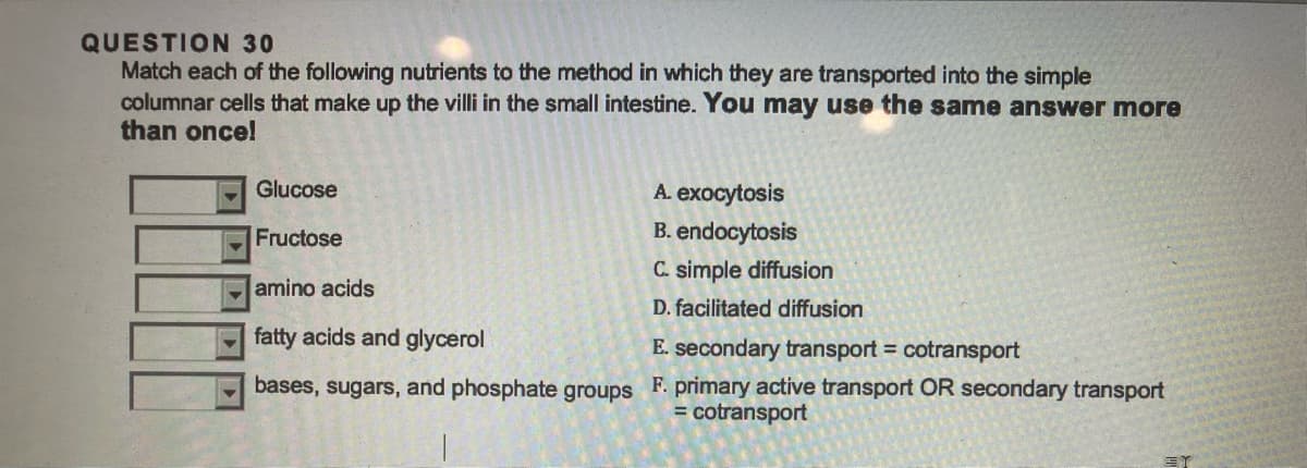 QUESTION 30
Match each of the following nutrients to the method in which they are transported into the simple
columnar cells that make up the villi in the small intestine. You may use the same answer more
than once!
Glucose
Fructose
A. exocytosis
B. endocytosis
C. simple diffusion
D. facilitated diffusion
amino acids
fatty acids and glycerol
E. secondary transport = cotransport
bases, sugars, and phosphate groups F. primary active transport OR secondary transport
= cotransport