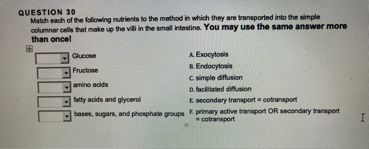 QUESTION 30
Match each of the following nutrients to the method in which they are transported into the simple
columnar cells that make up the villi in the small intestine. You may use the same answer more
than once!
Glucose
Fructose
amino acids
fatty acids and glycerol
bases, sugars, and phosphate groups
0
A.
Exocytosis
B. Endocytosis
C. simple diffusion
D. facilitated diffusion
E. secondary transport = cotransport
F. primary active transport OR secondary transport
= cotransport
I