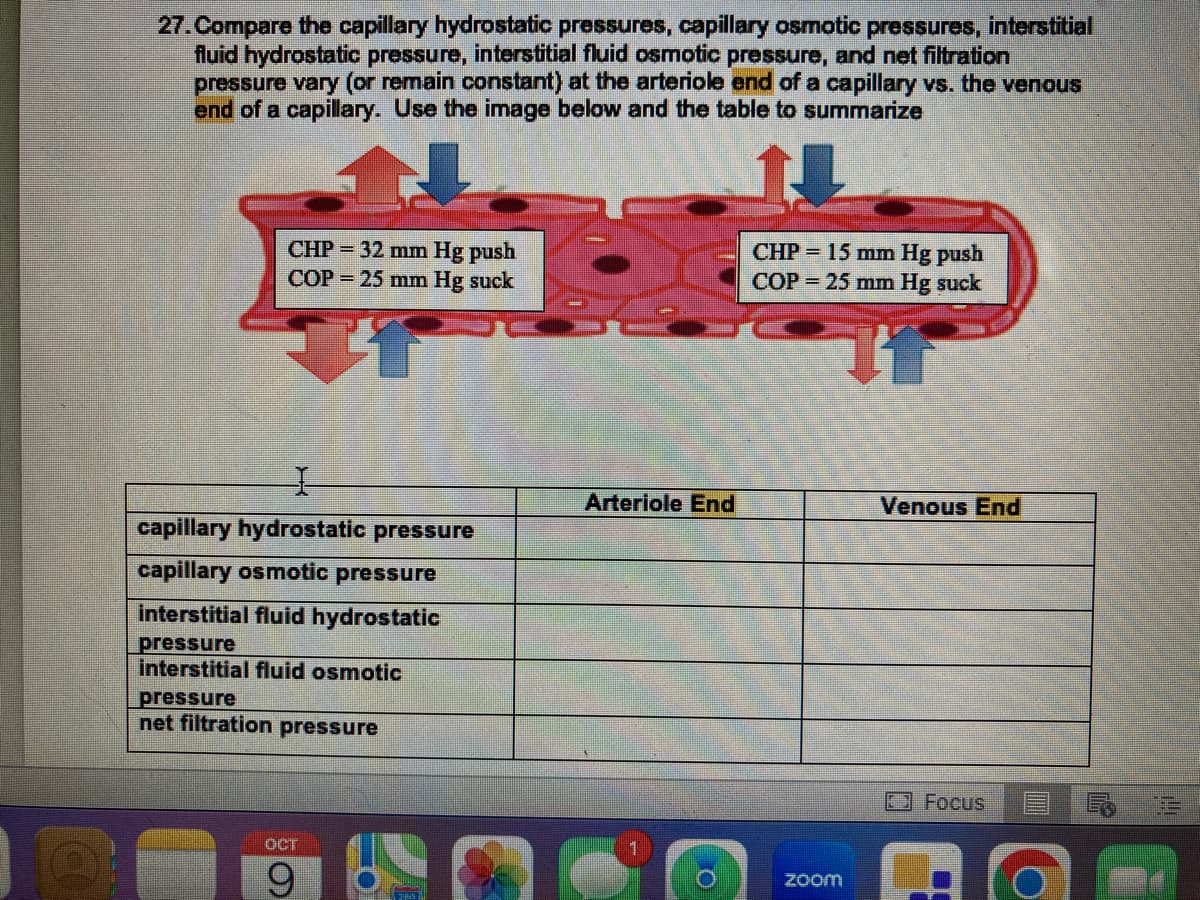 27. Compare the capillary hydrostatic pressures, capillary osmotic pressures, interstitial
fluid hydrostatic pressure, interstitial fluid osmotic pressure, and net filtration
pressure vary (or remain constant) at the arteriole end of a capillary vs. the venous
end of a capillary. Use the image below and the table to summarize
CHP = 32 mm Hg push
COP = 25 mm Hg suck
capillary hydrostatic pressure
capillary osmotic pressure
interstitial fluid hydrostatic
pressure
interstitial fluid osmotic
pressure
net filtration pressure
OCT
9
Arteriole End
CHP = 15 mm Hg push
COP = 25 mm Hg suck
zoom
Venous End
Focus