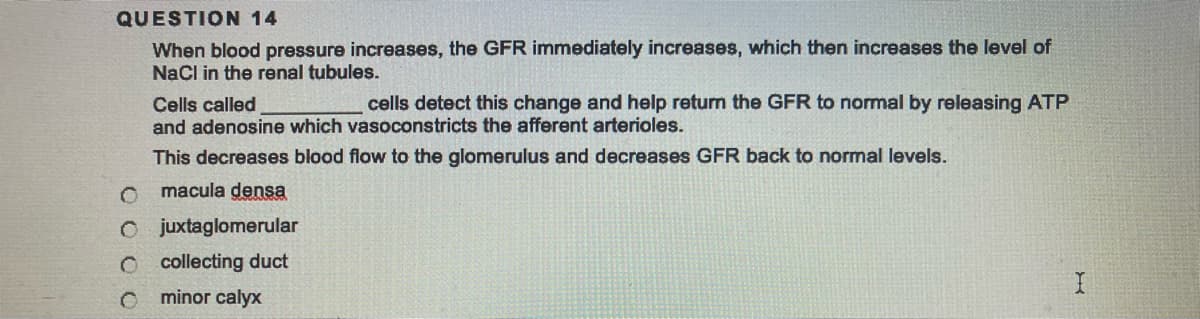 QUESTION 14
When blood pressure increases, the GFR immediately increases, which then increases the level of
NaCl in the renal tubules.
Cells called
cells detect this change and help return the GFR to normal by releasing ATP
and adenosine which vasoconstricts the afferent arterioles.
This decreases blood flow to the glomerulus and decreases GFR back to normal levels.
O macula densa
O juxtaglomerular
O collecting duct
O
minor calyx
بر