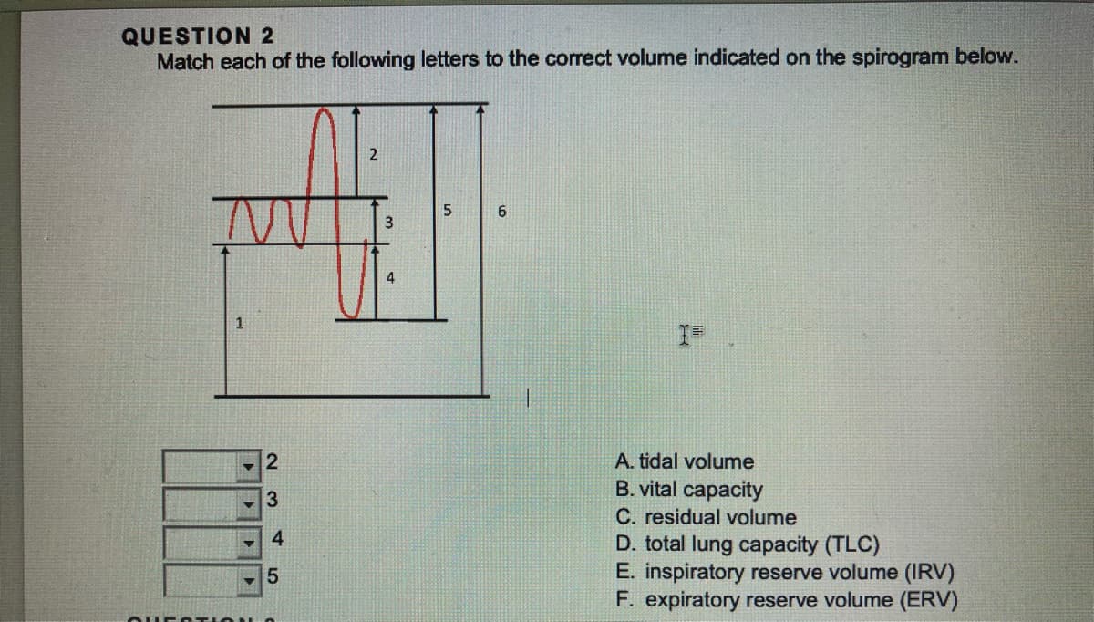 QUESTION 2
Match each of the following letters to the correct volume indicated on the spirogram below.
QUERO
1
2
3
4
5
2
3
4
5
6
A. tidal volume
B. vital capacity
C. residual volume
D. total lung capacity (TLC)
E. inspiratory reserve volume (IRV)
F. expiratory reserve volume (ERV)