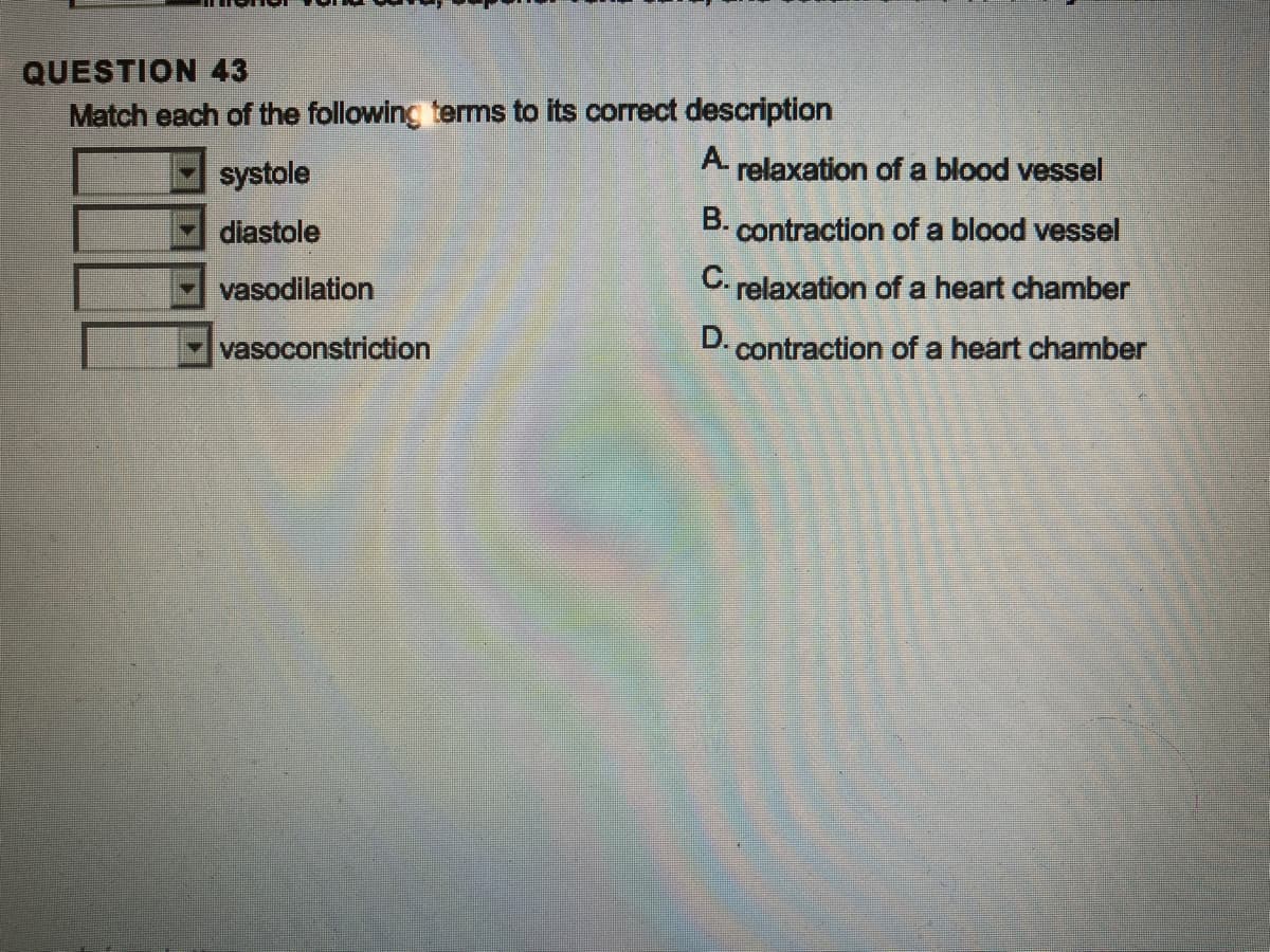 QUESTION 43
Match each of the following terms to its correct description
A
relaxation of a blood vessel
B.
contraction of a blood vessel
C. relaxation of a heart chamber
D. contraction of a heart chamber
systole
diastole
vasodilation
vasoconstriction