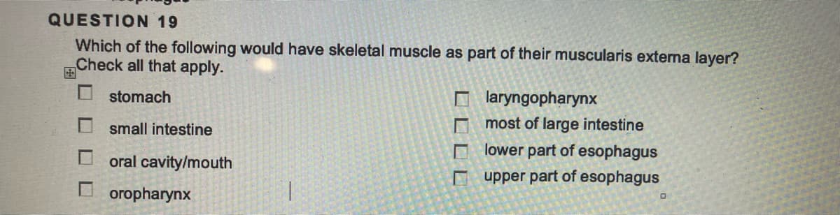 QUESTION 19
Which of the following would have skeletal muscle as part of their muscularis externa layer?
Check all that apply.
stomach
small intestine
oral cavity/mouth
oropharynx
DOLL
laryngopharynx
most of large intestine
lower part of esophagus
upper part of esophagus
0