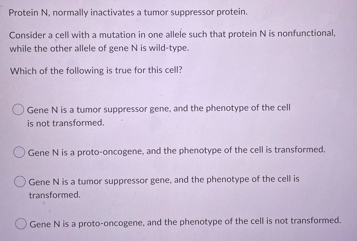 Protein N, normally inactivates a tumor suppressor protein.
Consider a cell with a mutation in one allele such that protein N is nonfunctional,
while the other allele of gene N is wild-type.
Which of the following is true for this cell?
Gene N is a tumor suppressor gene, and the phenotype of the cell
is not transformed.
Gene N is a proto-oncogene, and the phenotype of the cell is transformed.
Gene N is a tumor suppressor gene, and the phenotype of the cell is
transformed.
Gene N is a proto-oncogene, and the phenotype of the cell is not transformed.