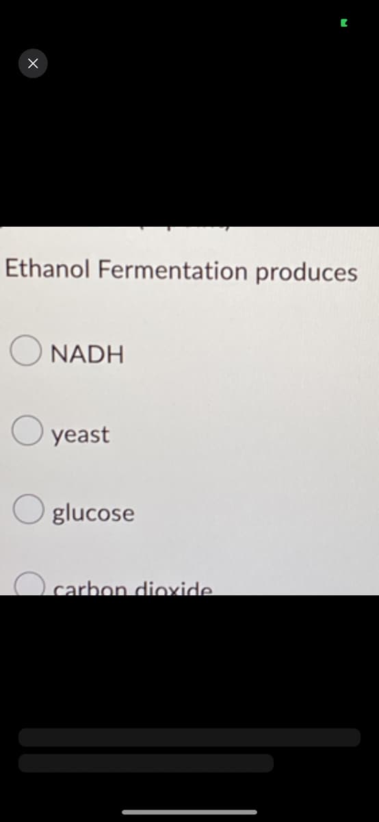 X
Ethanol Fermentation produces
NADH
yeast
Oglucose
carbon dioxide