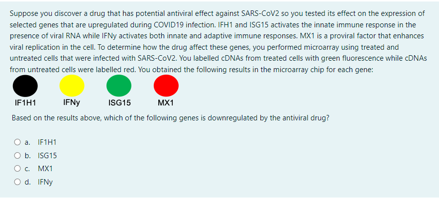 Suppose you discover a drug that has potential antiviral effect against SARS-CoV2 so you tested its effect on the expression of
selected genes that are upregulated during COVID19 infection. IFH1 and ISG15 activates the innate immune response in the
presence of viral RNA while IFNy activates both innate and adaptive immune responses. MX1 is a proviral factor that enhances
viral replication in the cell. To determine how the drug affect these genes, you performed microarray using treated and
untreated cells that were infected with SARS-CoV2. You labelled cDNAs from treated cells with green fluorescence while cDNAs
from untreated cells were labelled red. You obtained the following results in the microarray chip for each gene:
IF1H1
IFNY
ISG15
MX1
Based on the results above, which of the following genes is downregulated by the antiviral drug?
a. IF1H1
ISG15
MX1
IFNy
O b.
O c.
O d.