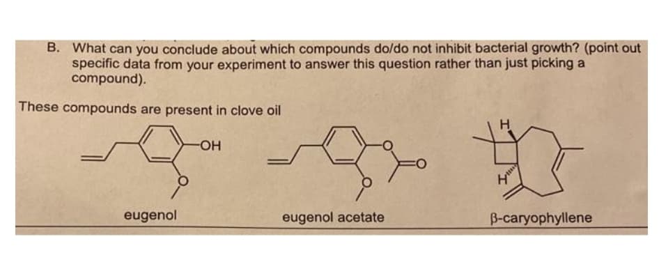 B. What can you conclude about which compounds do/do not inhibit bacterial growth? (point out
specific data from your experiment to answer this question rather than just picking a
compound).
These compounds are present in clove oil
HO-
eugenol
eugenol acetate
B-caryophyllene
