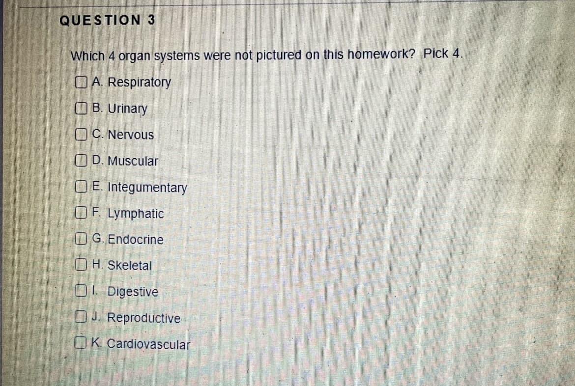 QUESTION 3
Which 4 organ systems were not pictured on this homework? Pick 4.
OA. Respiratory
OB. Urinary
OC. Nervous
OD. Muscular
O E. Integumentary
F. Lymphatic
O G. Endocrine
H. Skeletal
OL Digestive
OJ. Reproductive
OK. Cardiovascular
