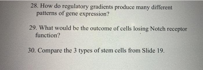 28. How do regulatory gradients produce many different
patterns of gene expression?
29. What would be the outcome of cells losing Notch receptor
function?
30. Compare the 3 types of stem cells from Slide 19.
