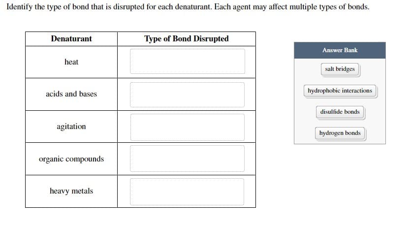 Identify the type of bond that is disrupted for each denaturant. Each agent may affect multiple types of bonds.
Denaturant
Type of Bond Disrupted
Answer Bank
heat
salt bridges
acids and bases
hydrophobic interactions
disulfide bonds
agitation
hydrogen bonds
organic compounds
heavy metals