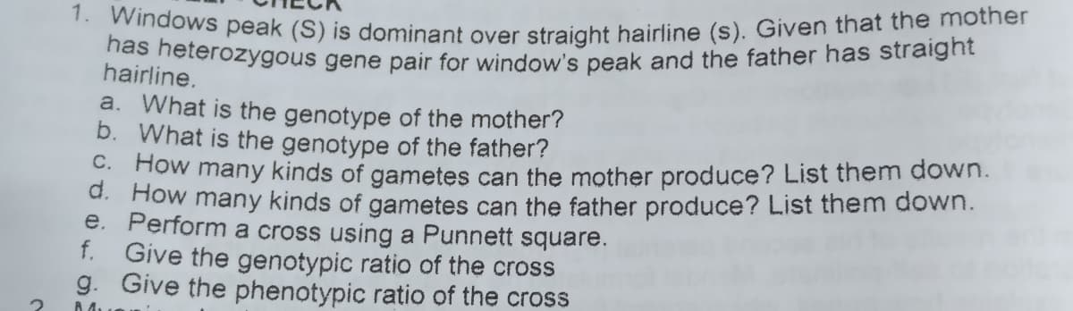 1. Windows peak (S) is dominant over straight hairline (s). Given that the mother
has heterozygous gene pair for window's peak and the father has straight
hairline.
a. What is the genotype of the mother?
b. What is the genotype of the father?
* How many kinds of gametes can the mother produce? List them down.
d. How many kinds of gametes can the father produce? List them down.
e. Perform a cross using a Punnett square.
f. Give the genotypic ratio of the cross
g. Give the phenotypic ratio of the cross
A 4.
