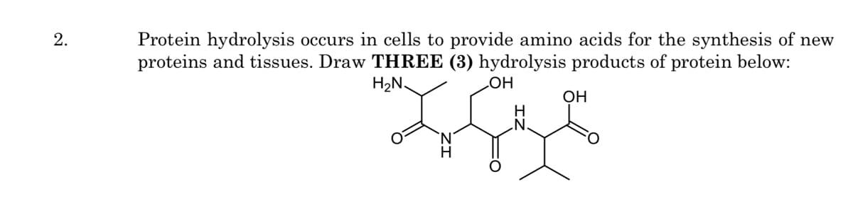 Protein hydrolysis occurs in cells to provide amino acids for the synthesis of new
proteins and tissues. Draw THREE (3) hydrolysis products of protein below:
2.
H2N.
HO
H
ОН
'N'
