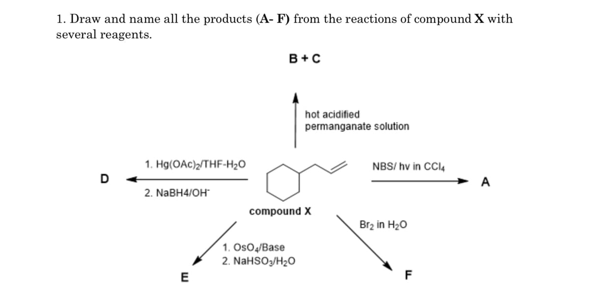 1. Draw and name all the products (A- F) from the reactions of compound X with
several reagents.
B+C
hot acidified
permanganate solution
1. Hg(OAc)2/THF-H2O
NBS/ hv in CCI4
A
2. NaBH4/OH
compound X
Brz in H20
1. OsO4/Base
2. NaHSOz/H20
E
F
