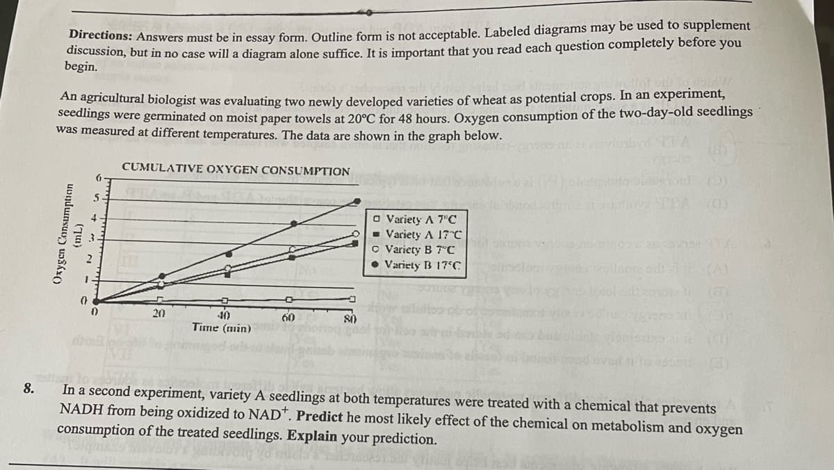 irections: Answers must be in essay form. Outline form is not acceptable. Labeled diagrams may be used to supplement
discussion, but in no case will a diagram alone suffice. It is important that you read each question completely before you
begin.
An agricultural biologist was evaluating two newly developed varieties of wheat as potential crops. In an experiment,
Seedings were germinated on moist paper towels at 20°C for 48 hours. Oxygen consumption of the two-day-old seedlings
was measured at different temperatures. The data are shown in the graph below.
CUMULATIVE OXYGEN CONSUMPTION
O Variety A 7"C
- Variety A 17e
O Variety B 7°C
• Variety B 17°C
20
40
Time (min)
60
8.
In a second experiment, variety A seedlings at both temperatures were treated with a chemical that prevents
NADH from being oxidized to NAD*. Predict he most likely effect of the chemical on metabolism and oxygen
consumption of the treated seedlings. Explain your prediction.
v + , N - C
(qu)
Oxygen Consumption
