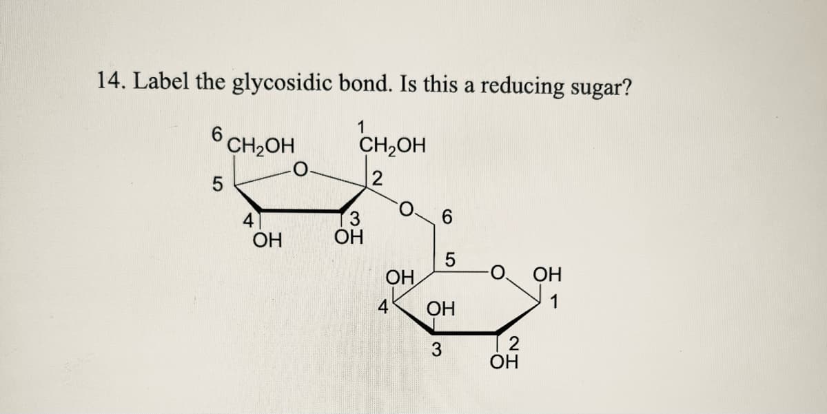 14. Label the glycosidic bond. Is this a reducing sugar?
6 CH₂OH
1
CH₂OH
2
5
4
3
OH
OH
LO
5
OH
OH
1
4
OH
3
OH