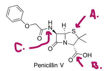 4.
C.
-N-
HO-
Penicillin V
B.
IZ
