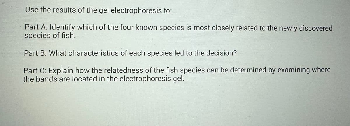 Use the results of the gel electrophoresis to:
Part A: Identify which of the four known species is most closely related to the newly discovered
species of fish.
Part B: What characteristics of each species led to the decision?
Part C: Explain how the relatedness of the fish species can be determined by examining where
the bands are located in the electrophoresis gel.