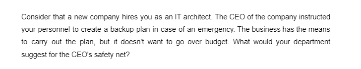 Consider that a new company hires you as an IT architect. The CEO of the company instructed
your personnel to create a backup plan in case of an emergency. The business has the means
to carry out the plan, but it doesn't want to go over budget. What would your department
suggest for the CEO's safety net?