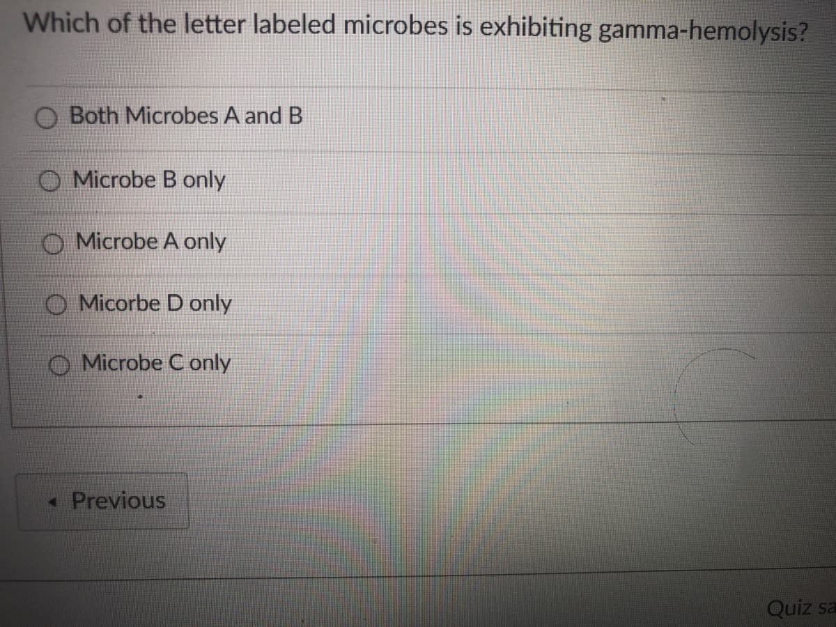 Which of the letter labeled microbes is exhibiting gamma-hemolysis?
Both Microbes A and B
Microbe B only
O Microbe A only
O Micorbe D only
Microbe C only
« Previous
Quiz sa
