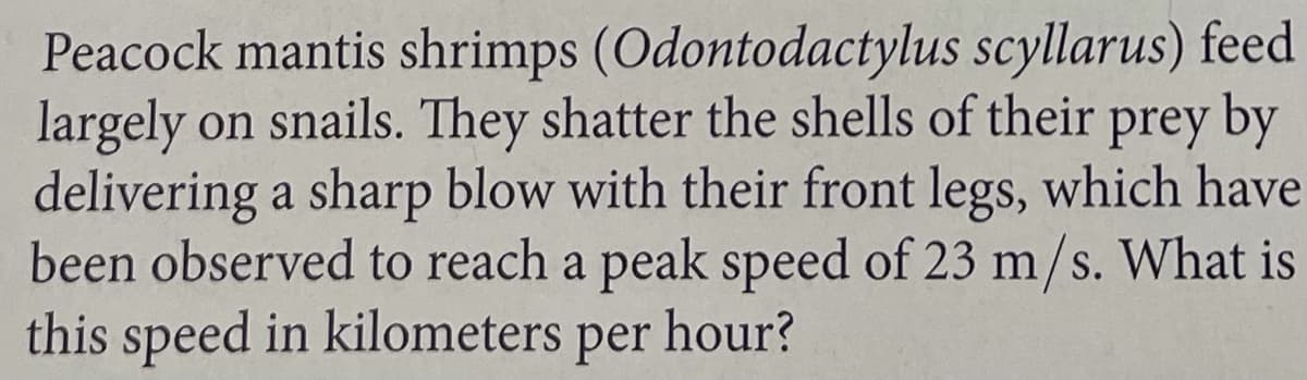 Peacock mantis shrimps (Odontodactylus scyllarus) feed
largely on snails. They shatter the shells of their prey by
delivering a sharp blow with their front legs, which have
been observed to reach a peak speed of 23 m/s. What is
this speed in kilometers per hour?
