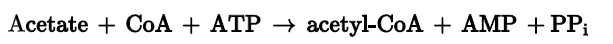 Acetate + CoA + ATP → acetyl-CoA + AMP + PPi
