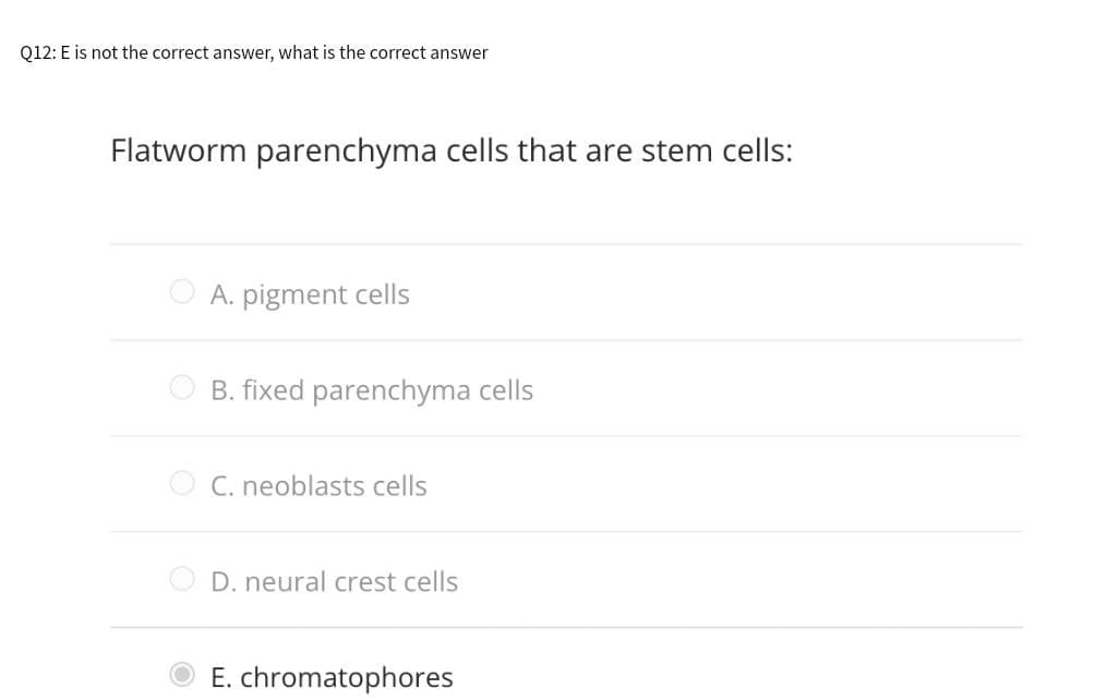Q12: E is not the correct answer, what is the correct answer
Flatworm parenchyma cells that are stem cells:
O A. pigment cells
B. fixed parenchyma cells
O C. neoblasts cells
D. neural crest cells
E. chromatophores

