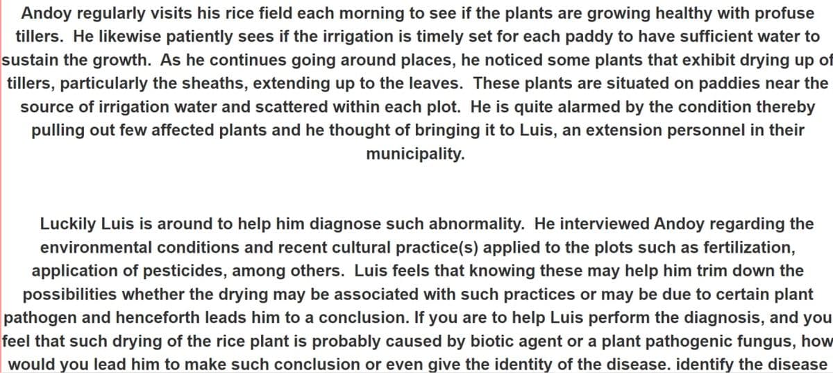 Andoy regularly visits his rice field each morning to see if the plants are growing healthy with profuse
tillers. He likewise patiently sees if the irrigation is timely set for each paddy to have sufficient water to
sustain the growth. As he continues going around places, he noticed some plants that exhibit drying up of
tillers, particularly the sheaths, extending up to the leaves. These plants are situated on paddies near the
source of irrigation water and scattered within each plot. He is quite alarmed by the condition thereby
pulling out few affected plants and he thought of bringing it to Luis, an extension personnel in their
municipality.
Luckily Luis is around to help him diagnose such abnormality. He interviewed Andoy regarding the
environmental conditions and recent cultural practice(s) applied to the plots such as fertilization,
application of pesticides, among others. Luis feels that knowing these may help him trim down the
possibilities whether the drying may be associated with such practices or may be due to certain plant
pathogen and henceforth leads him to a conclusion. If you are to help Luis perform the diagnosis, and you
feel that such drying of the rice plant is probably caused by biotic agent or a plant pathogenic fungus, how
would you lead him to make such conclusion or even give the identity of the disease. identify the disease