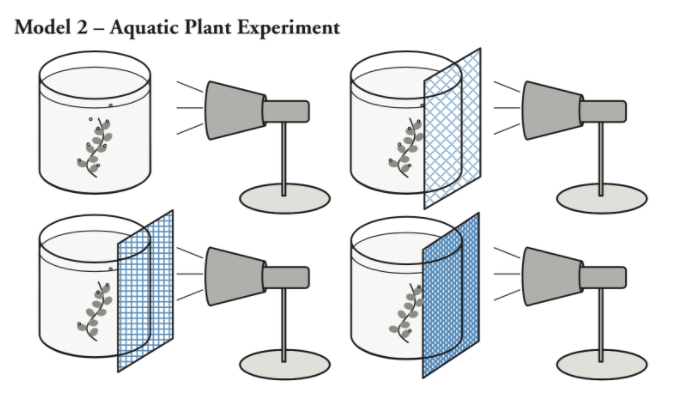 Model 2 – Aquatic Plant Experiment
