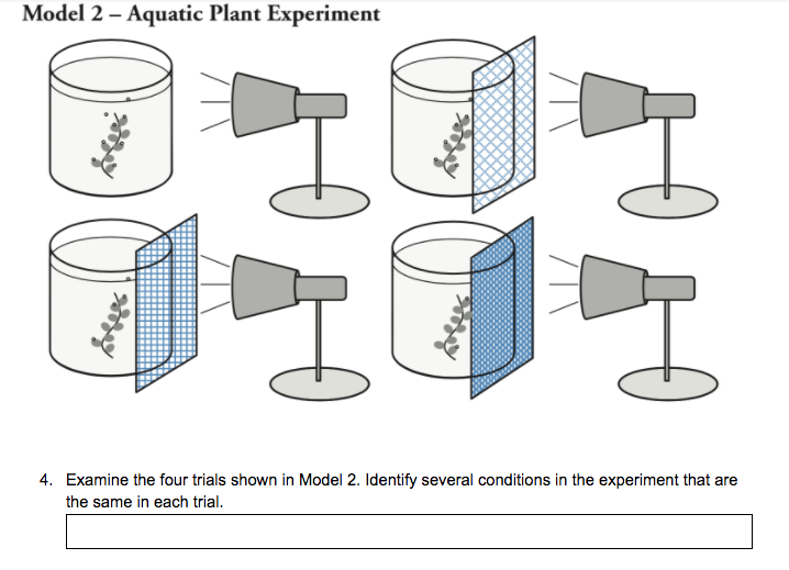 Model 2 – Aquatic Plant Experiment
4. Examine the four trials shown in Model 2. Identify several conditions in the experiment that are
the same in each trial.
