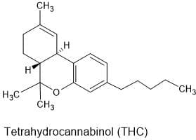 CH3
H
CH
H3C
ČH3
Tetrahydrocannabinol (THC)
