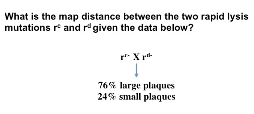 What is the map distance between the two rapid lysis
mutations rc and rd given the data below?
re- X rd-
76% large plaques
24% small plaques