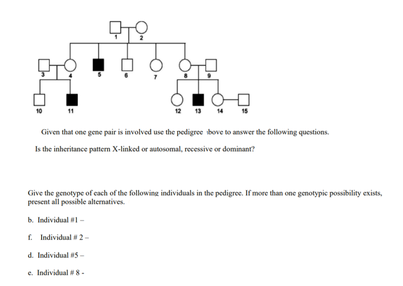 10
11
12
13 14 15
Given that one gene pair is involved use the pedigree ibove to answer the following questions.
Is the inheritance pattern X-linked or autosomal, recessive or dominant?
Give the genotype of each of the following individuals in the pedigree. If more than one genotypic possibility exists,
present all possible alternatives.
b. Individual #1 -
f. Individual # 2 –
d. Individual #5 –
e. Individual # 8 -
