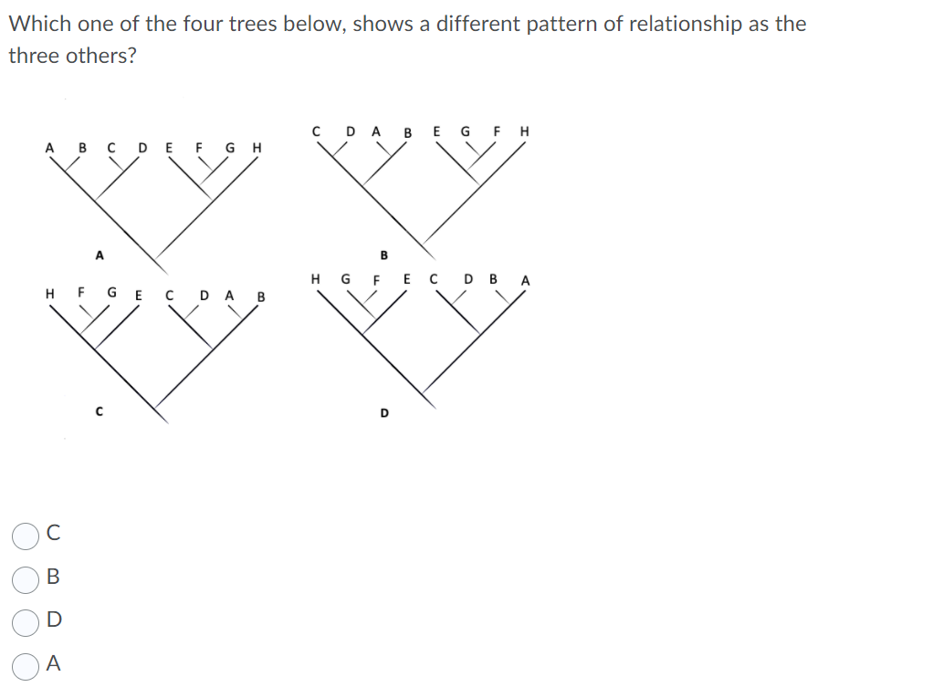 Which one of the four trees below, shows a different pattern of relationship as the
three others?
DA
В
E
G
H
A
B
DE
F
G H
A
H
E C
D B A
H F GE C DA B
D
C
В
D
A
O O O O
