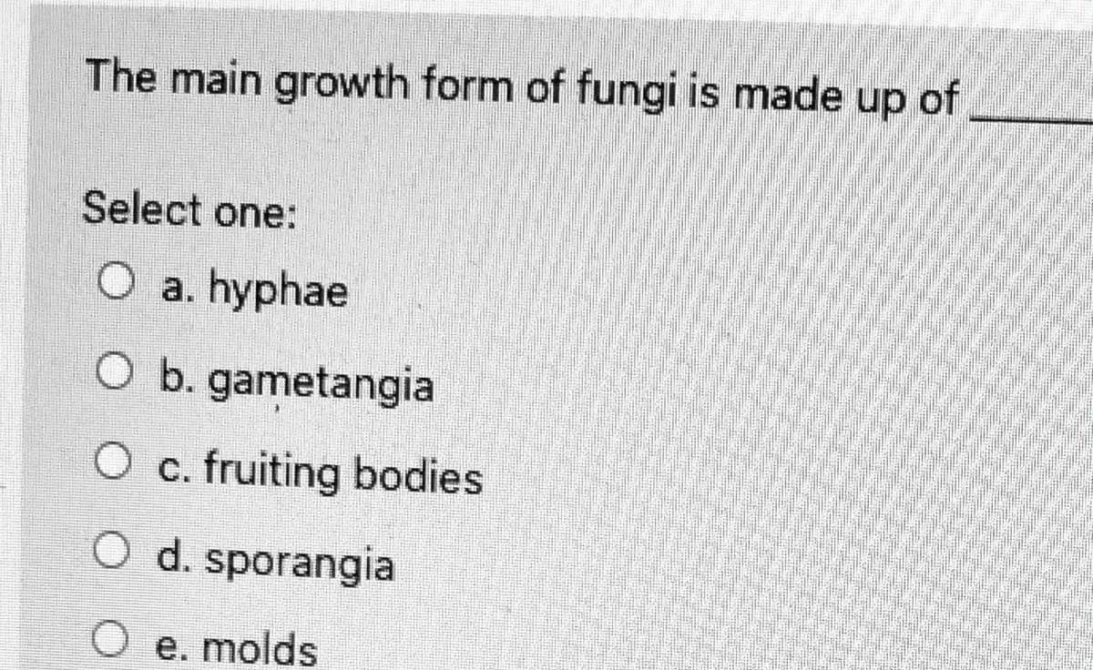 The main growth form of fungi is made up of
Select one:
O a. hyphae
O b. gametangia
O c. fruiting bodies
O d. sporangia
O e. molds
