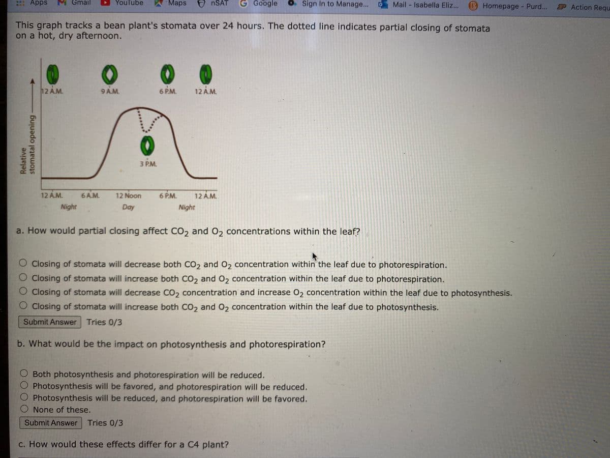 . Apps
M Gmail
YouTube
A Maps
O NSAT
G Google
O. Sign In to Manage...
Mail Isabella Eliz...
B Homepage Purd... P Action Requ
This graph tracks a bean plant's stomata over 24 hours. The dotted line indicates partial closing of stomata
on a hot, dry afternoon.
12 A.M.
9 A.M.
6 P.M.
12 A.M.
3 P.M.
12 A.M.
6 A.M.
12 Noon
6 P.M.
12 A.M.
Night
Day
Night
a. How would partial closing affect CO2 and O2 concentrations within the leaf?
O Closing of stomata will decrease both CO2 and O2 concentration within the leaf due to photorespiration.
O Closing of stomata will increase both CO2 and O2 concentration within the leaf due to photorespiration.
O Closing of stomata will decrease CO2 concentration and increase O2 concentration within the leaf due to photosynthesis.
O Closing of stomata will increase both CO2 and O2 concentration within the leaf due to photosynthesis.
Submit Answer Tries 0/3
b. What would be the impact on photosynthesis and photorespiration?
O Both photosynthesis and photorespiration will be reduced.
Photosynthesis will be favored, and photorespiration will be reduced.
O Photosynthesis will be reduced, and photorespiration will be favored.
None of these.
Submit Answer
Tries 0/3
c. How would these effects differ for a C4 plant?
Relative
stomatal opening
