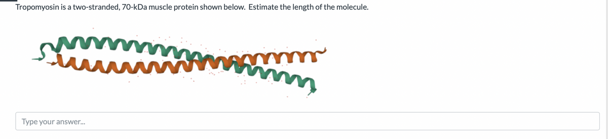 Tropomyosin is a two-stranded, 70-kDa muscle protein shown below. Estimate the length of the molecule.
Type your answer...
