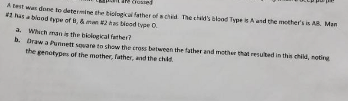 are crossed
A test was done to determine the biological father of a child. The child's blood Type is A and the mother's is AB. Man
#1 has a blood type of B, & man #2 has blood type O.
a.
Which man is the biological father?
b. Draw a Punnett square to show the cross between the father and mother that resulted in this child, noting
the genotypes of the mother, father, and the child.