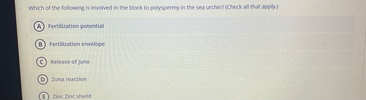 Which of the following is involved in the block to polyspermy in the sea urchin? (Check all that apply.)
Fertilization potential
B) Fertilization envelope
C) Release of Juno
D) Zona reaction
E) Zinc Zinc shield
