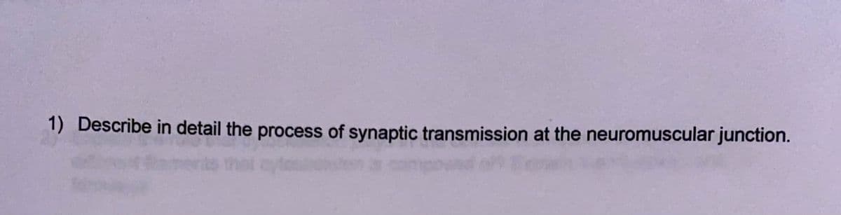 1) Describe in detail the process of synaptic transmission at the neuromuscular junction.
