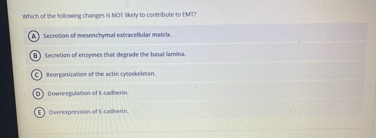 Which of the following changes is NOT likely to contribute to EMT?
A Secretion of mesenchymal extracellular matrix.
B Secretion of enzymes that degrade the basal lamina.
Reorganization of the actin cytoskeleton.
D
Downregulation of E-cadherin.
E Overexpression of E-cadherin.
