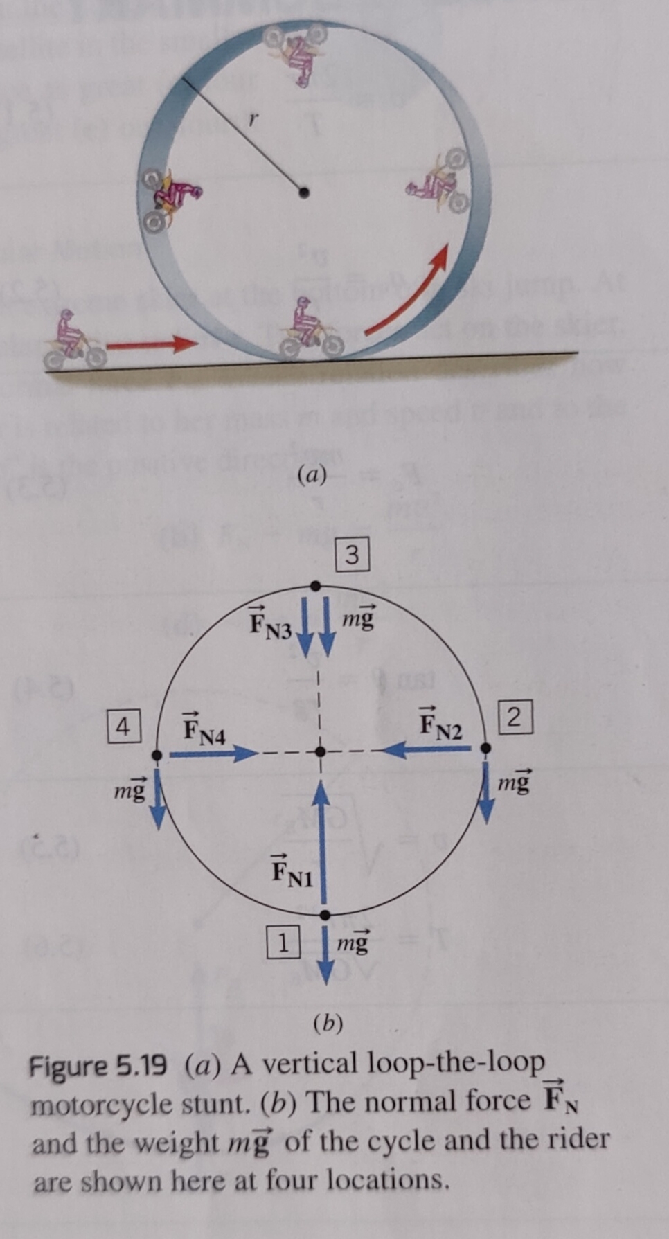 4
mg
FN4
(a)
3
11 mg
FN3.
1
FNI
mg
F22
mg
(b)
Figure 5.19 (a) A vertical loop-the-loop
motorcycle stunt. (b) The normal force F
and the weight mg of the cycle and the rider
are shown here at four locations.