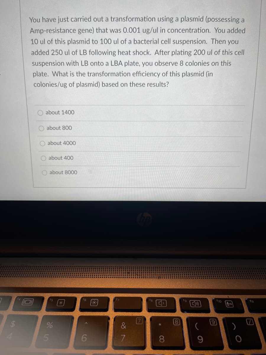 You have just carried out a transformation using a plasmid (possessing a
Amp-resistance gene) that was 0.001 ug/ul in concentration. You added
10 ul of this plasmid to 100 ul of a bacterial cell suspension. Then
you
added 250 ul of LB following heat shock. After plating 200 ul of this cell
suspension with LB onto a LBA plate, you observe 8 colonies on this
plate. What is the transformation efficiency of this plasmid (in
colonies/ug of plasmid) based on these results?
about 1400
O about 80O
about 4000
O about 400O
O about 8000
f6
米
IO
fs
fg
f1o
19
08.
O OO
