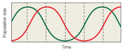 Time
Population size
