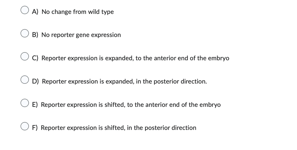 ○ A) No change from wild type
B) No reporter gene expression
C) Reporter expression is expanded, to the anterior end of the embryo
D) Reporter expression is expanded, in the posterior direction.
○ E) Reporter expression is shifted, to the anterior end of the embryo
○ F) Reporter expression is shifted, in the posterior direction