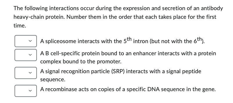 The following interactions occur during the expression and secretion of an antibody
heavy-chain protein. Number them in the order that each takes place for the first
time.
A spliceosome interacts with the 5th intron (but not with the 6th).
A B cell-specific protein bound to an enhancer interacts with a protein
complex bound to the promoter.
A signal recognition particle (SRP) interacts with a signal peptide
sequence.
A recombinase acts on copies of a specific DNA sequence in the gene.
